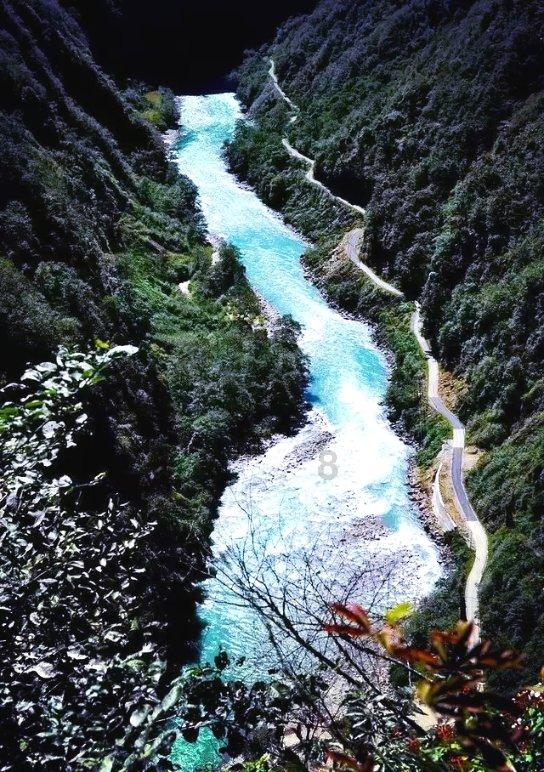 浪漫氛围感拉满，味蕾惊喜度爆满的桥ThaiThai，我看谁还要错过？